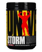 UNIVERSAL Storm Fruit punch - 750 g