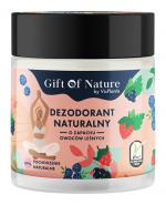 VisPlantis Gift of Nature Dezodorant naturalny w kremie o zapachu owoców leśnych, 75 ml