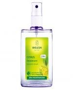 WELEDA CITRUS Dezodorant cytrusowy - 100 ml