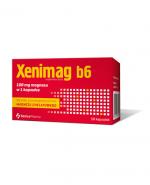 XENICO Xenimag b6 - 50kaps
