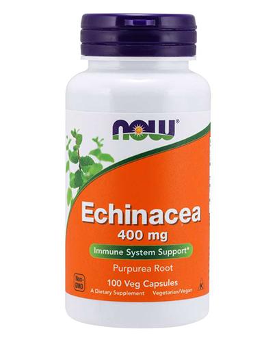  Now Echinacea 400 mg, 100 kapsułek - Apteka internetowa Melissa  
