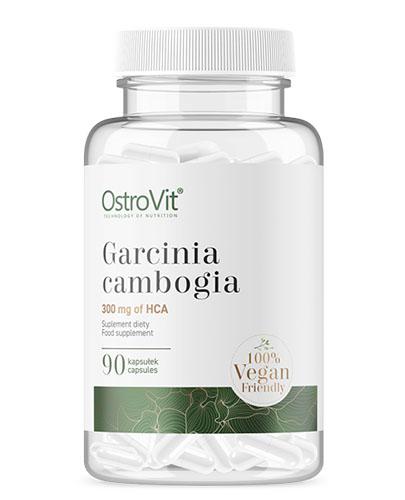  OstroVit Garcinia Cambogia 300 mg of HCA - 90 kaps. - cena, opinie, wskazania - Apteka internetowa Melissa  