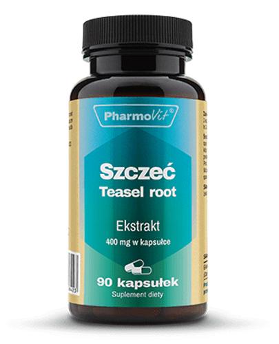  Pharmovit Szczeć Teasel root 4:1 400 mg - 90 kaps. Na ból i odporność - cena, opinie, stosowanie  - Apteka internetowa Melissa  