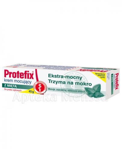 PROTEFIX Krem mocujący z miętą - 45 g - Apteka internetowa Melissa