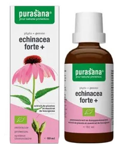  Purasana Echinacea Forte Jeżówka Purpurowa krople Bio  - 50 ml - cena, opinie, składniki - Apteka internetowa Melissa  