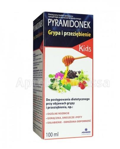 PYRAMIDONEK KIDS GRYPA I PRZEZIĘBIENIE - 100 ml - Apteka internetowa Melissa