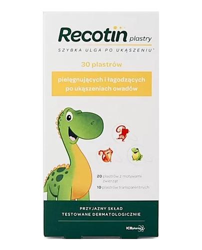  Recotin Plastry po ukąszeniach owadów, 30 szt., cena, opinie, wskazania  - Apteka internetowa Melissa  