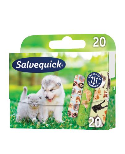 SALVEQUICK ANIMAL PLANET Plastry - 20 szt.