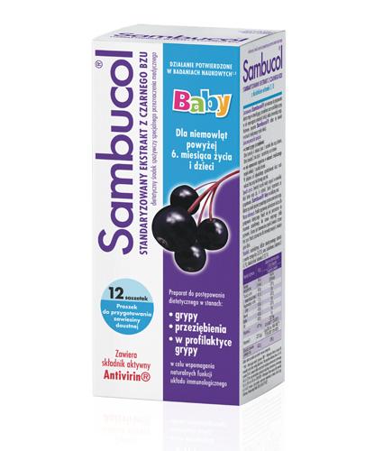  SAMBUCOL BABY Standaryzowany ekstrakt z owoców czarnego bzu - 12 sasz. Na odporność - cena, opinie, stosowanie - Apteka internetowa Melissa  