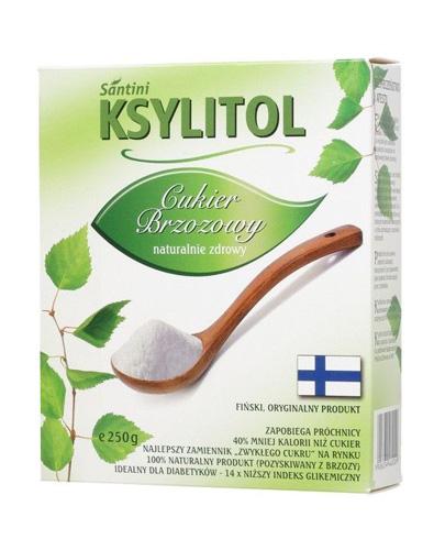  SANTINI Ksylitol  - 250 g - zamiennik cukru białego - cena, zastosowanie - Apteka internetowa Melissa  