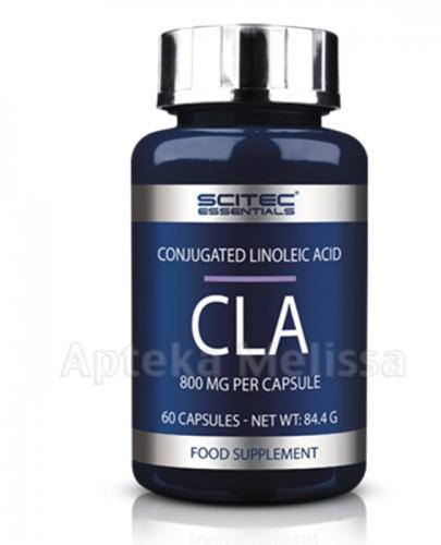 SCITEC CLA - 60 kaps. - Apteka internetowa Melissa