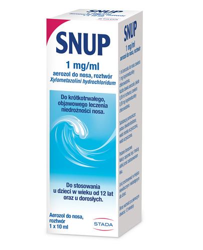  SNUP 0.1% Aerozol do nosa - 10 ml - cena, dawkowanie, opinie  - Apteka internetowa Melissa  