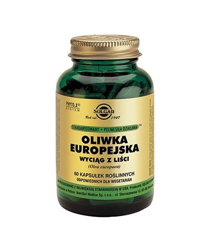 SOLGAR OLIWKA EUROPEJSKA WYCIĄG Z LIŚCI - 60 kaps. - Apteka internetowa Melissa