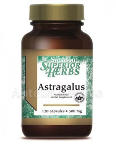 SWANSON Astragalus standaryzowany - 120 kaps. - Apteka internetowa Melissa