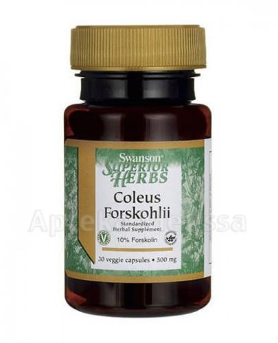 SWANSON Coleus Forskohlii 500 mg - 30 kaps. - Apteka internetowa Melissa