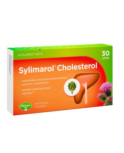  SYLIMAROL CHOLESTEROL, Na wątrobę, 30 tabletek - Apteka internetowa Melissa  