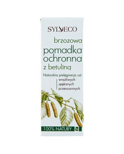  SYLVECO Pomadka brzozowa ochronna z betuliną - 4.6 g - Apteka internetowa Melissa  