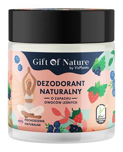  VisPlantis Gift of Nature Dezodorant naturalny w kremie o zapachu owoców leśnych, 75 ml, cena, opinie, skład - Apteka internetowa Melissa  