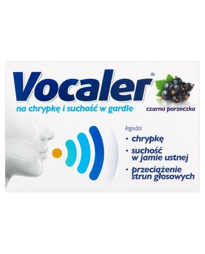 VOCALER Pastylki do ssania czarna porzeczka - 12 past. - Apteka internetowa Melissa