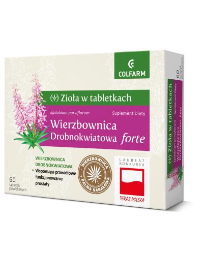 Wierzbownica drobnokwiatowa forte - 60 tabl.