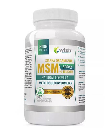  Wish MSM + L - Leucyna Siarka Organiczna 500 mg - 250 kaps. - cena, opinie, dawkowanie - Apteka internetowa Melissa  
