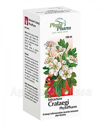 PHYTOPHARM INTRACTUM CRATAEGI wyciąg z głogu - 100 ml - Apteka internetowa Melissa