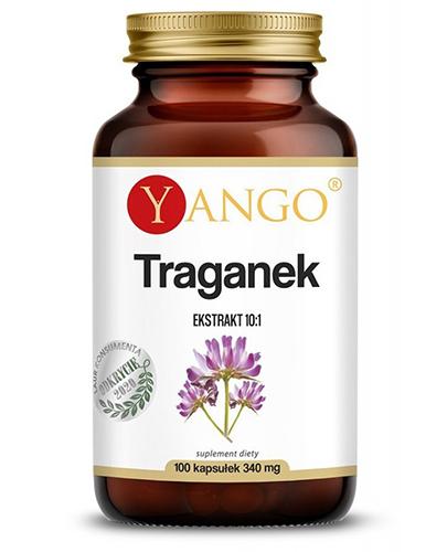  Yango Traganek Astragalus Ekstrakt 10:1 430 mg - 100 kapsułek - Apteka internetowa Melissa  